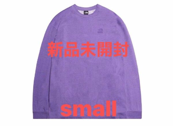 シュプリーム North Face Pigment Printed Top ノース S supreme 紫 パープル small