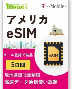 これ以上下げれません eSIM 5日間 高速データ通信無制限使い放題 SIMカード ハワイeSIM