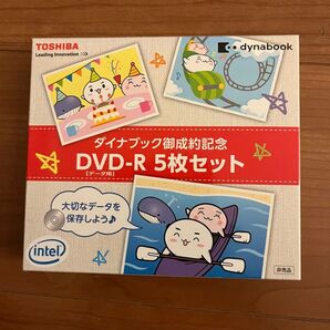 データ用DVD-R 5枚