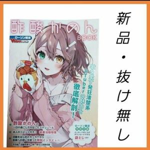 VTuberスタイル 酢酸かのん BOOK ローソン限定