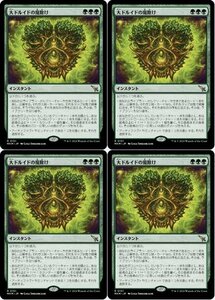 緑レア▼MTG▼カルロフ邸殺人事件▼大ドルイドの魔除け4枚組