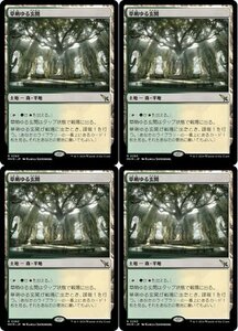 土地レア▼MTG▼カルロフ邸殺人事件▼草萌ゆる玄関4枚組