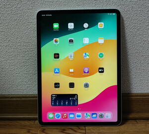 中古美品 Apple iPad Pro 11インチ 第1世代 Wi-Fiモデル 512GB MTXU2J/A シルバー