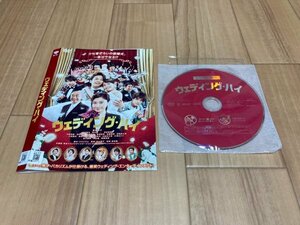 ウェディング・ハイ　DVD　篠原涼子　即決　送料200円　113