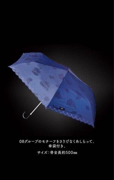 サルート ノベルティ 08グループ 晴雨兼用 日傘 Salute Wacoal 傘 折りたたみ ネイビー
