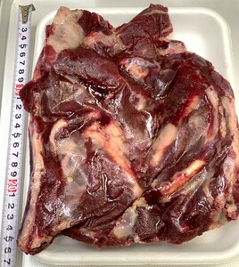 【ジビエ】ツキノワグマ　スペアリブ　骨付きカット済み　１４９５ｇ　品質最高　熊肉