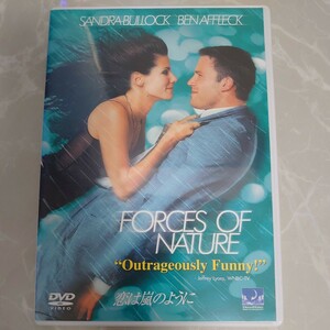 DVD 恋は嵐のように FORCES OF NATURE 中古品1422