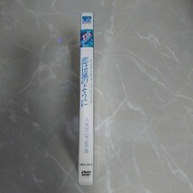 DVD 恋は嵐のように FORCES OF NATURE 中古品1422_画像3