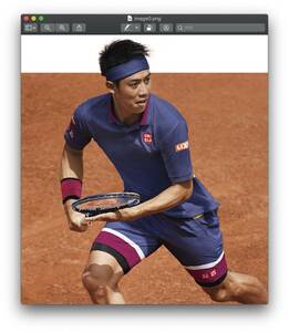 新品！錦織圭 リストバンド 左右セット 2020全仏モデル 1組(2個入り) UNIQLO ユニクロ