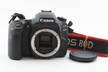 #k219★極上美品★ Canon キャノン EOS 80D ボディ_画像1