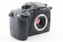 #m162★極上美品★ パナソニック PANASONIC LUMIX RD-SPM049 ボディ（DC-GH5）_画像3