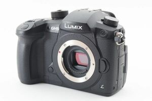 #m165★極上美品★ パナソニック PANASONIC LUMIX RD-SPM049 ボディ（DC-GH5）