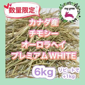 カナダ産チモシーオーロラヘイプレミアムWHITE 6kg リピート+1kg