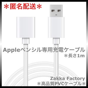 アップルペンシル Apple pencil 第1世代 充電 ケーブル 充電器 Appleペンシル 充電ケーブル 第一世代 Applepencil 充電器ケーブル