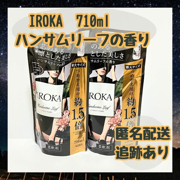 【2個セット】フレア フレグランス IROKA 柔軟剤 ハンサムリーフの香り