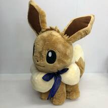 ポケモン ぬいぐるみ まとめ 20点／ピカチュウ ゼニガメ ヒノアラシ ヒコザル カイリュー イーブイ ロコン コダック 他 一番くじ 他 被り有_画像3