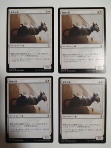 MTG マジックザギャザリング 優雅な猫 日本語版 4枚セット