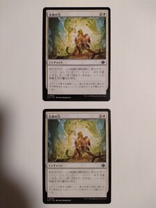 MTG マジックザギャザリング 先祖の力 日本語版 2枚セット