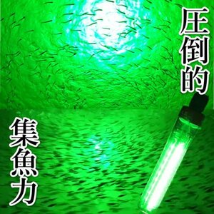 USB給電式 集魚灯 夜釣り 海釣り 集魚ライト 20W 緑光 LED 水中集魚ライト IPX8防水 5m モバイルバッテリー対応 12Vバッテリー不要 G