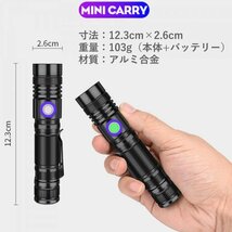 UVライト アニサキスライト 365nm 訳あり品 ブラックライト 防水IPX6 充電式 5W LED 猫の真菌発見 レジン硬化 真贋鑑定 鉱物鑑定 蓄光 D_画像3