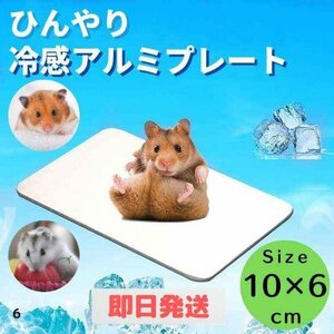 【即日発送】冷感マット ひんやり アルミプレート 小動物用グッズ 暑さ対策 ハムスター 1枚【6番】フェレット 冷却マット 小さめ 夏