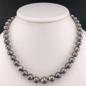 E12-5214 黒蝶パールネックレス 8.0mm~10.0mm 41cm 46g ( 黒蝶真珠 Pearl necklace SILVER )