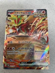 【同梱可能】ポケモンカード ウガツホムラex ポケモン カードゲーム sv5K 012/071 RR ワイルドフォース