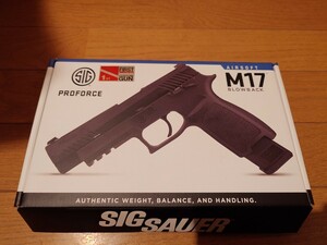 SIG　M17 絶版ファースト　エイミーカスタム