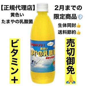 【GMめだか】黄色い たまやの乳酸菌 500ml ※ビタミン 葉酸 プラス 室内飼育 日照不足 免疫力UP 産卵促進 グッピー 金魚 ベタ