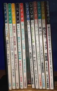 月刊ドラマ　月刊シナリオ　詰め合わせ　山田太一　田向正健　野島伸司　坂元裕二　相米慎二