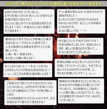 金魔術金財運招来／金運アップのお守り！金財運を舞い込ませ、貯蓄を増やしお金をどんどん引き寄せる！_画像2