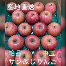 限定　サンふじ　りんご　秀品＋訳あり　中玉　Lサイズ　10kg（36個入）　果物_画像1