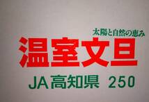 1円～【高知県産】山北温室文旦　大玉　4L　サイズ　約10㎏_画像3