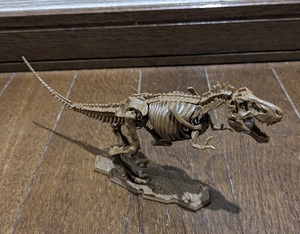 プラモデル 恐竜　骨格　ティラノサウルス　 [送料無料]