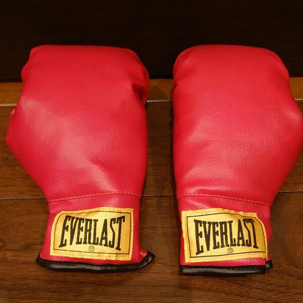 ボクシンググローブ ボクシング グローブ 格闘技 パンチンググローブ EVERLAST エバーラスト