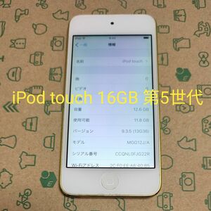 iPod touch A1421 16GB 第5世代