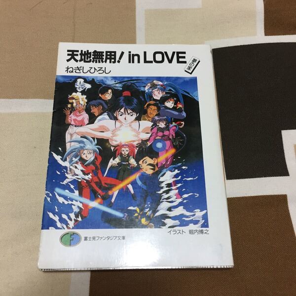 天地無用! In LOVE 夢の家 ねぎひろし著 富士見ファンタジア文庫 送料無料