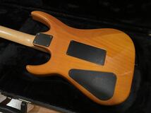 HAMER USA DIABLO GDBS ヘイマー ディアブロ_画像8