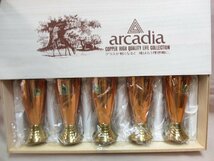 COPPER　ARCADIA　ビールグラス　訳あり品_画像1