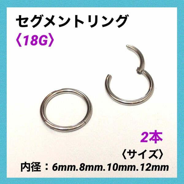 2本　セグメントリング　18G内径10mm ボディピアス