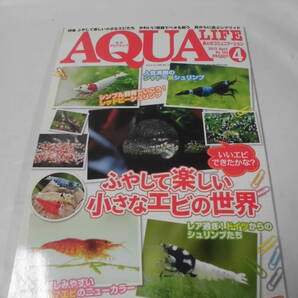 月刊アクアライフ 2012年4月 No.393 ふやして楽しい小さなエビの世界◆ゆうメール可 3*2の画像1