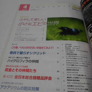 月刊アクアライフ 2012年4月 No.393 ふやして楽しい小さなエビの世界◆ゆうメール可 3*2の画像2