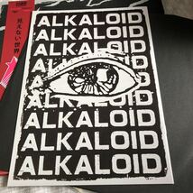 【ジャパメタ】ALKALOID/ Invisible World /メタル/f.o.a.d.records/アルカロイド_画像4