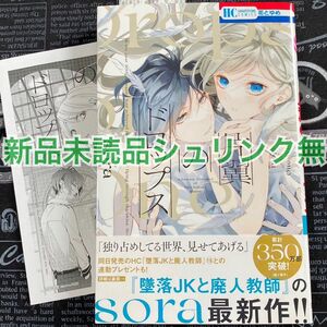 【いいね禁止】 片翼のドロップス sora 新品未読品 シュリンク無 応募券無 共通特典付