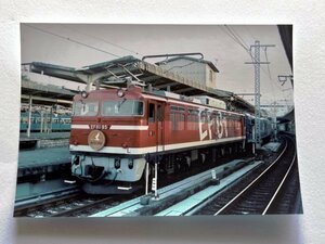 鉄道写真プリント　EF81-95号機レインボー塗装機＋24系25形　寝台特急「ゆうづる」　Lサイズ