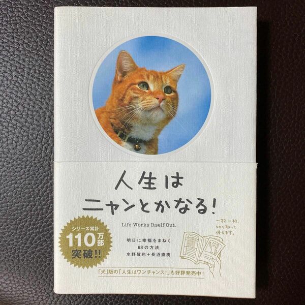 人生はニャンとかなる！　明日に幸福を招く68の方法　水野敬也　長沼直樹　文響社