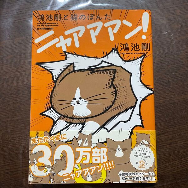 鴻池剛と猫のぽんたニァアアアン! 角川 漫画