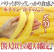 （予約）限定1箱！本チャン【ジャンボ塩かずのこ】1ｋｇ １本羽 贈答◎！！！！_画像2