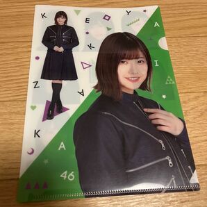 欅坂46 渡邉理佐 クリアファイル