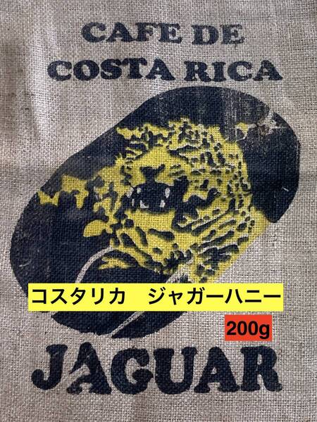 自家焙煎アチャオコーヒー 自然豊かな〜コスタリカ ジャガーハニー 焙煎したて200g(100gx2袋)